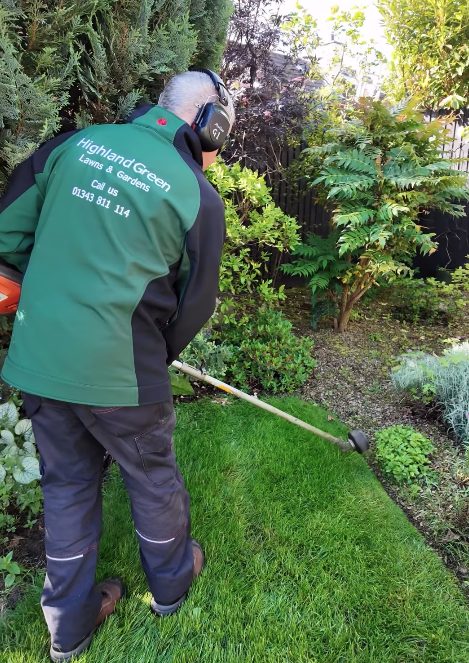 Local Gardening company cleaning up a garden during a content creation session.